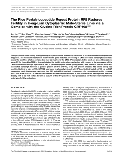 The Rice Pentatricopeptide Repeat Protein RF5