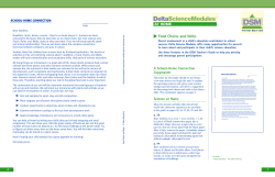 Food Chains and Webs