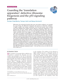Guarding the translation apparatus: defective ribosome biogenesis
