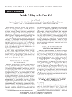 Protein Folding in the Plant Cell