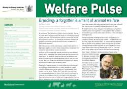 Breeding: a forgotten element of animal welfare