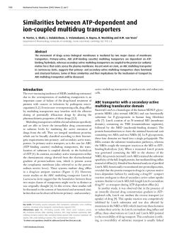 Full Text  - Biochemical Society Transactions