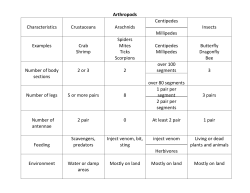 Arthropods Characteristics Crustaceans Arachnids Centipedes