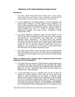 Statement of the Calorie Reduction Expert Group1