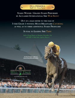 StakeS Winner / Graded StakeS Performer by
