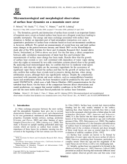 Micrometeorological and morphological observations of surface