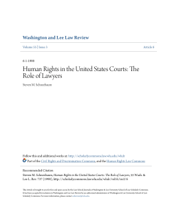 Human Rights in the United States Courts: The Role of Lawyers