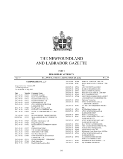 28 - Service NL