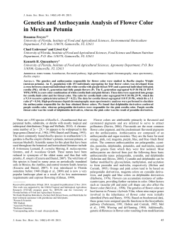 Genetics and Anthocyanin Analysis of Flower Color in Mexican