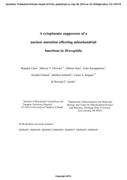 A cytoplasmic suppressor of a nuclear mutation affecting