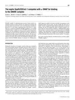 The septin Sept5/CDCrel-1 competes with &alpha;