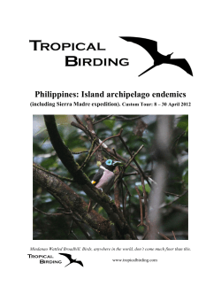 Philippines: Island archipelago endemics