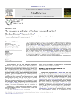 The past, present and future of `cuckoos versus reed warblers`