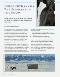 Horse Euthanasia: The Elephant in the Room