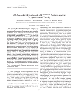 p53-Dependent Induction of p21Cip1/WAF1/Sdi1 Protects against
