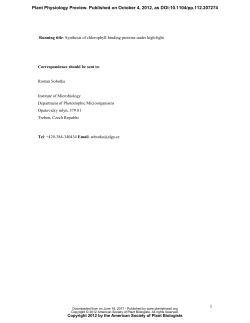 Long-term acclimation of the cyanobacterium Synechocystis PCC