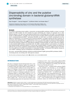 Dispensability of zinc and the putative zinc