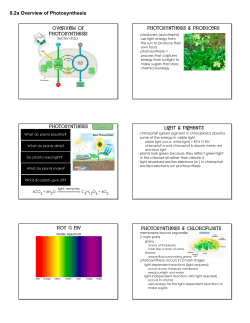 8.2a Overview of Photosynthesis