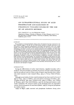 an ultrastructural study of acid phosphatase localization in