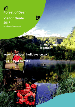 Forest of Dean Visitor Guide