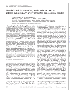 Metabolic inhibition with cyanide induces calcium release - AJP-Cell