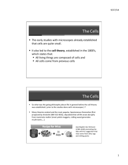 Chapter 4: Intro to the Cell