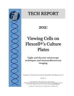 Viewing Cells on Flexcell - Flexcell International Corporation