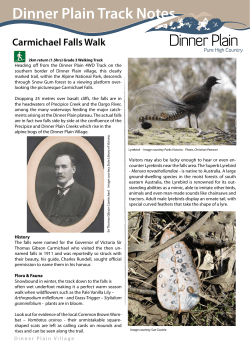 Carmichael Falls Walk
