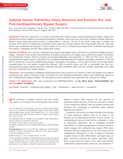 Isolated Human Pulmonary Artery Structure and Function Pre‐ and