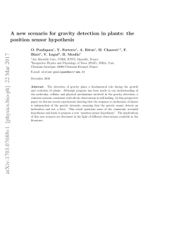 A new scenario for gravity detection in plants: the position sensor