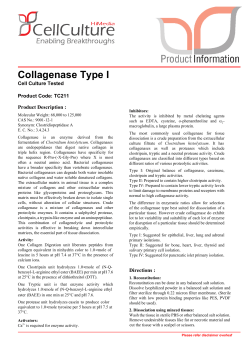 Collagenase Type I - HiMedia Laboratories