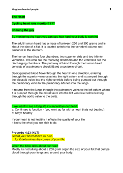 Kingdom Hearted People