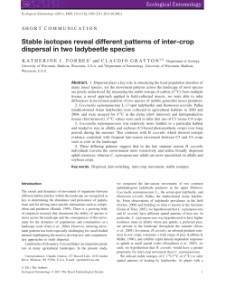 Stable isotopes reveal different patterns of intercrop