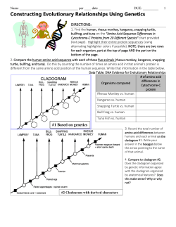 constructing cladograms based on DNA evidence