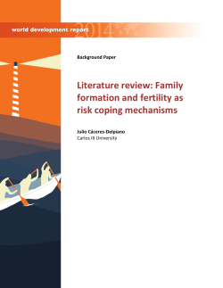 Literature review: Family formation and fertility as risk coping
