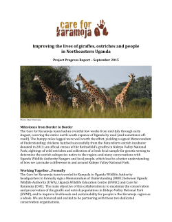 Improving the lives of giraffes, ostriches and people in Northeastern