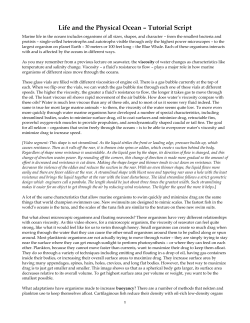 Life and the Physical Ocean &ndash; Tutorial Script - FOG