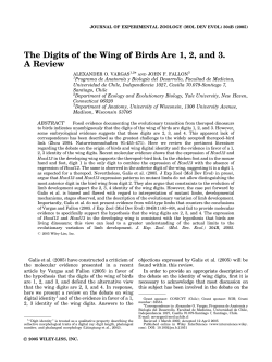 The digits of the wing of birds are 1, 2, and 3. a review