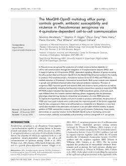 The MexGHI-OpmD multidrug efflux pump controls growth, antibiotic