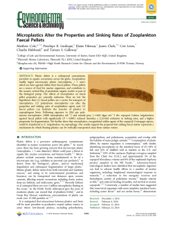 Microplastics Alter the Properties and Sinking