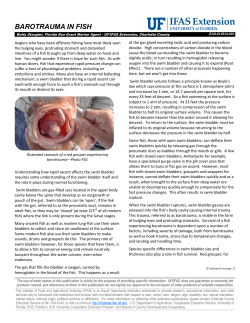 barotrauma in fish - Charlotte County Extension Service