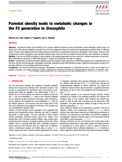 Parental obesity leads to metabolic changes in the F2 generation in