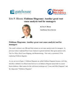 Eric P. Bloom: Fishbone Diagrams: Another great root cause