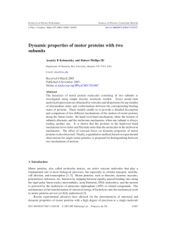 Dynamic properties of motor proteins with two subunits