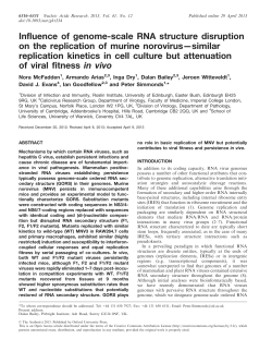 Influence of genome-scale RNA structure disruption on the