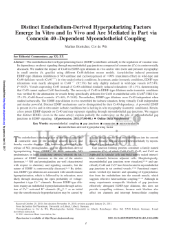 Distinct Endothelium-Derived Hyperpolarizing Factors Emerge In