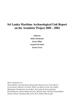 Avondster Project Report 2001-2002
