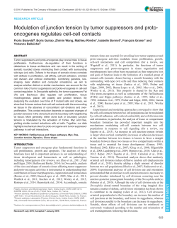 Modulation of junction tension by tumor suppressors and proto
