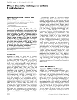 DNA of Drosophila melanogaster contains 5methylcytosine
