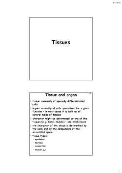 tissues.pps [Compatibility Mode]